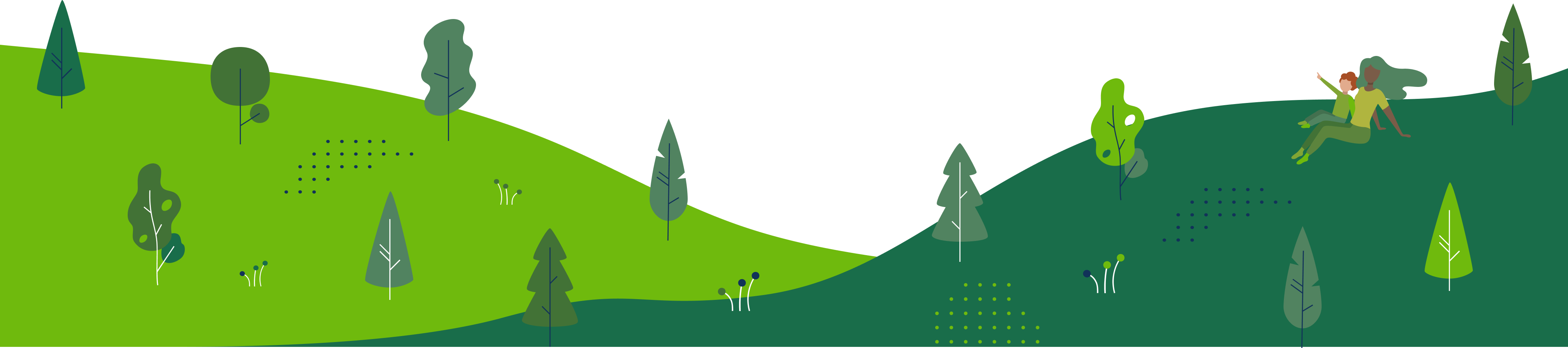 Illustrated forest